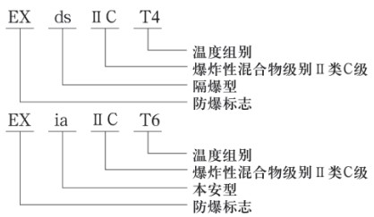 靜壓式防腐液位計(jì)防爆示意圖